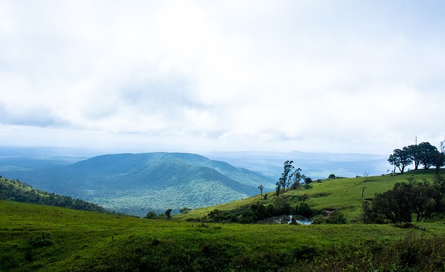意天空：劳塔罗已回国米参加合练，预计和图拉姆首发出战德比