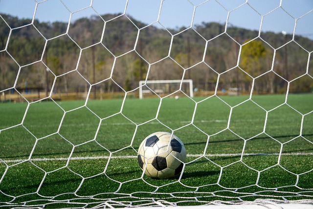 CBA联赛新增外援助力球队提升战绩