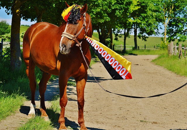 安切洛蒂世界杯后或三度执教皇马