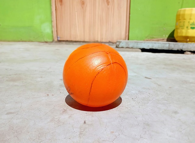 教练扬科维