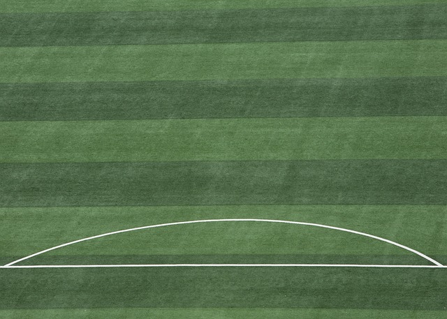 了又一传奇 了又一传奇