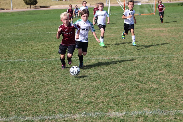 天才亚历山 天才亚历山