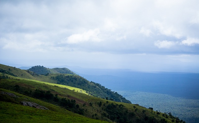 贡献一股不 贡献一股不