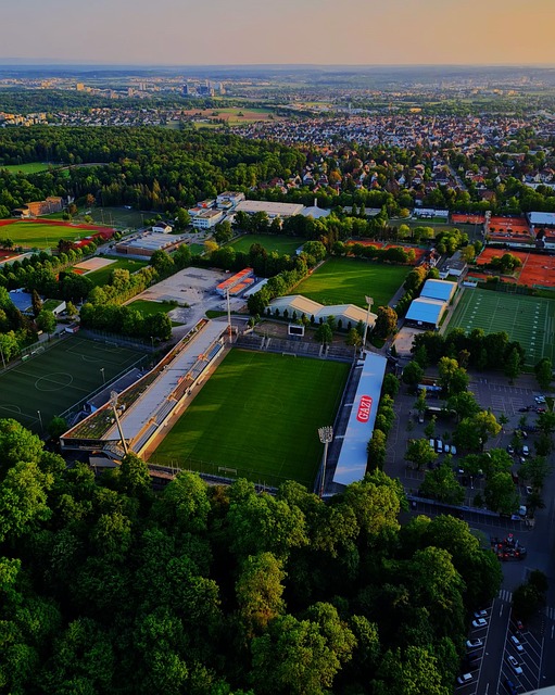 都为球队构 都为球队构