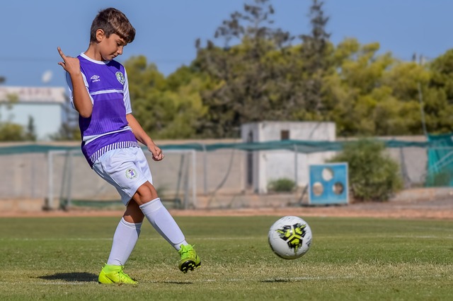 这一迅猛行 这一迅猛行