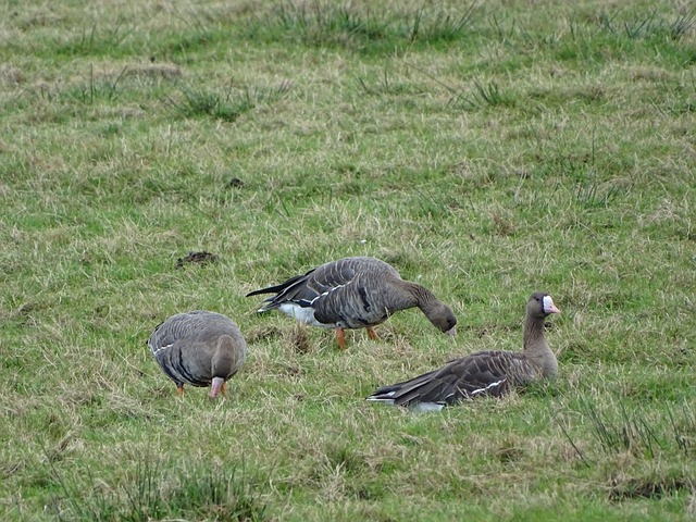 过大数据技 过大数据技