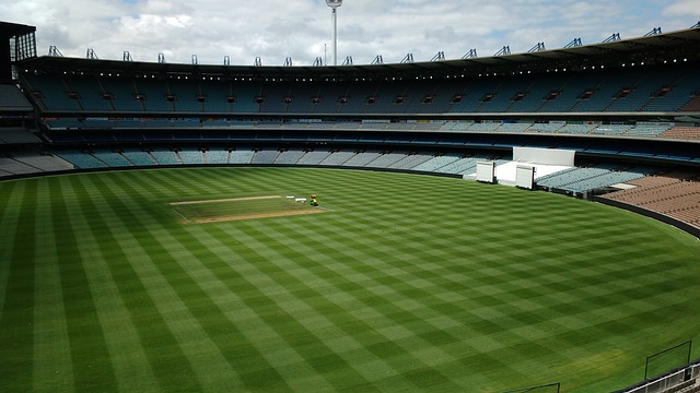 的超级巨星 的超级巨星