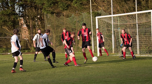 多样化的进 多样化的进